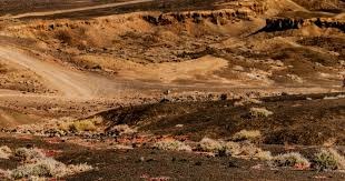 英超切尔西欲破6年魔咒 数据示无惧阿森纳